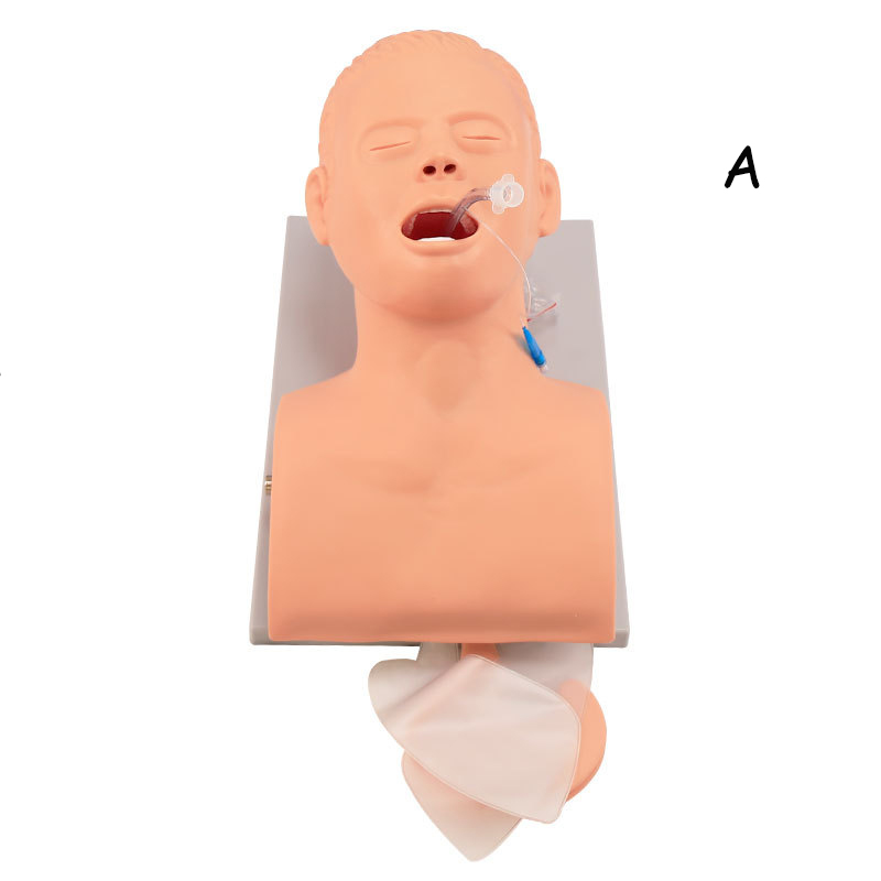 PVC Adult Intubation Manikin T - Medical Lab Management recension och pris