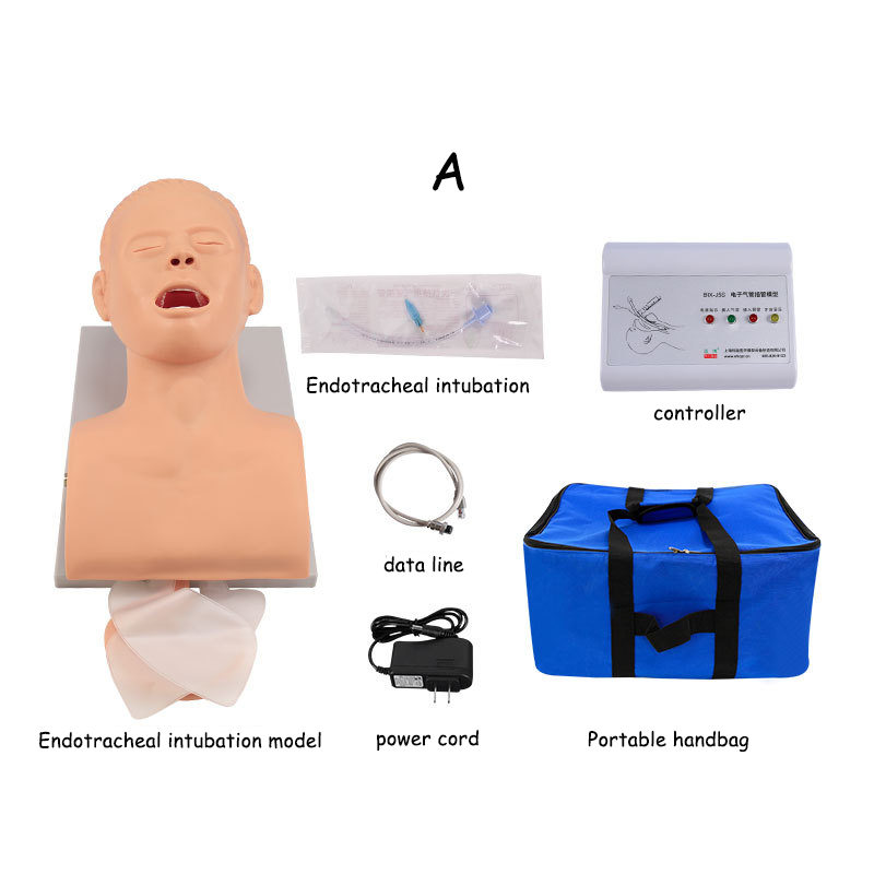 PVC Adult Intubation Manikin T - Medical Lab Management recension och pris