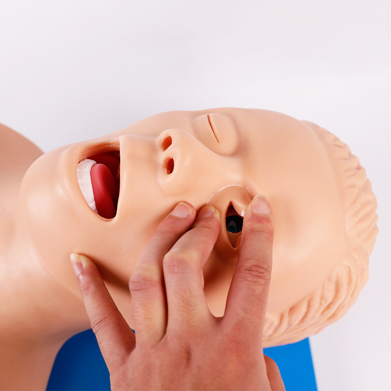 PVC Adult Intubation Manikin T - Medical Lab Management recension och pris
