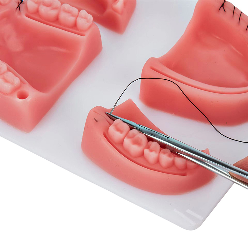 Dental Gum Skin Suture Surgica - Medical Lab Kit recension och pris